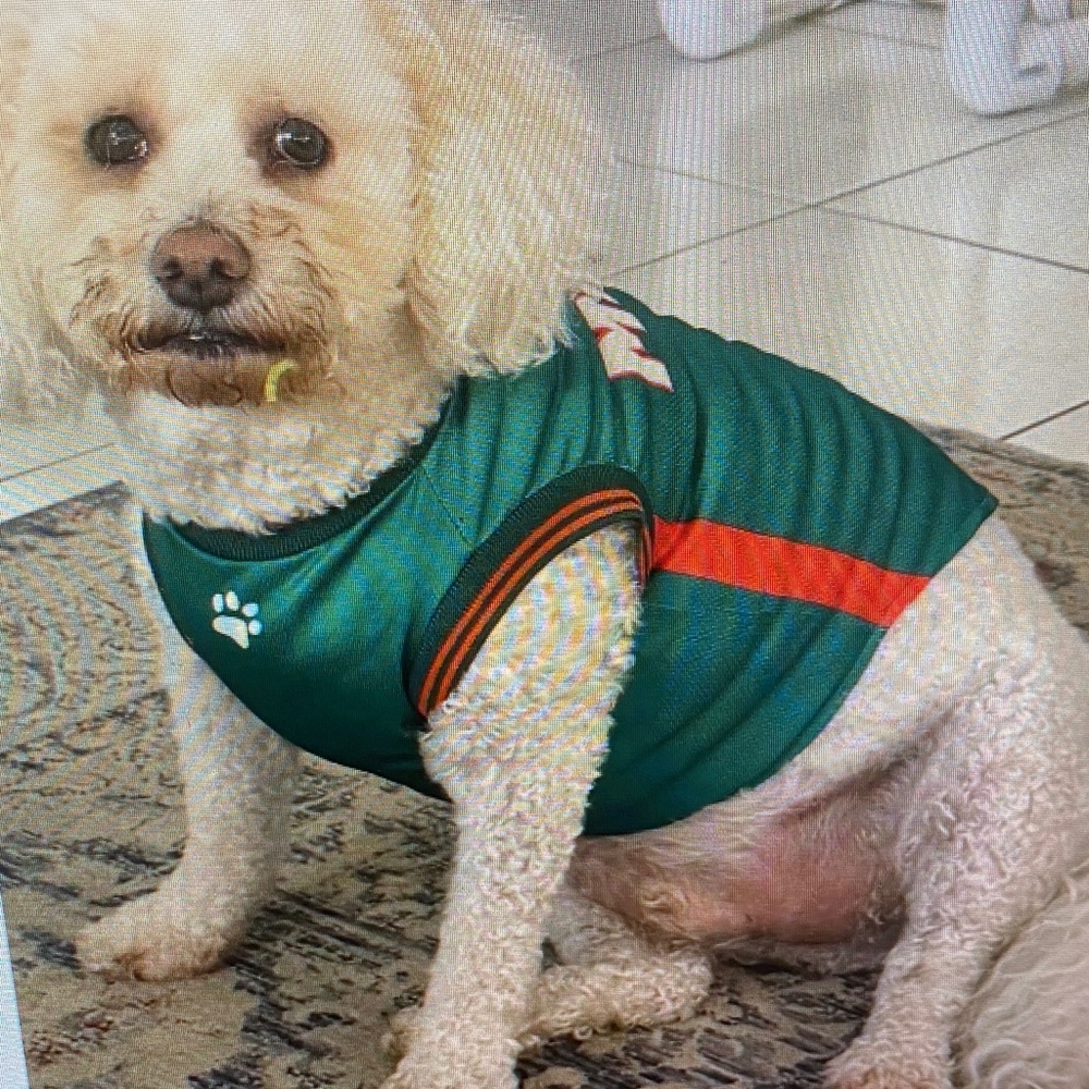 Green and Orange Pet Dog Jersey - Comfortable Athletic Tee